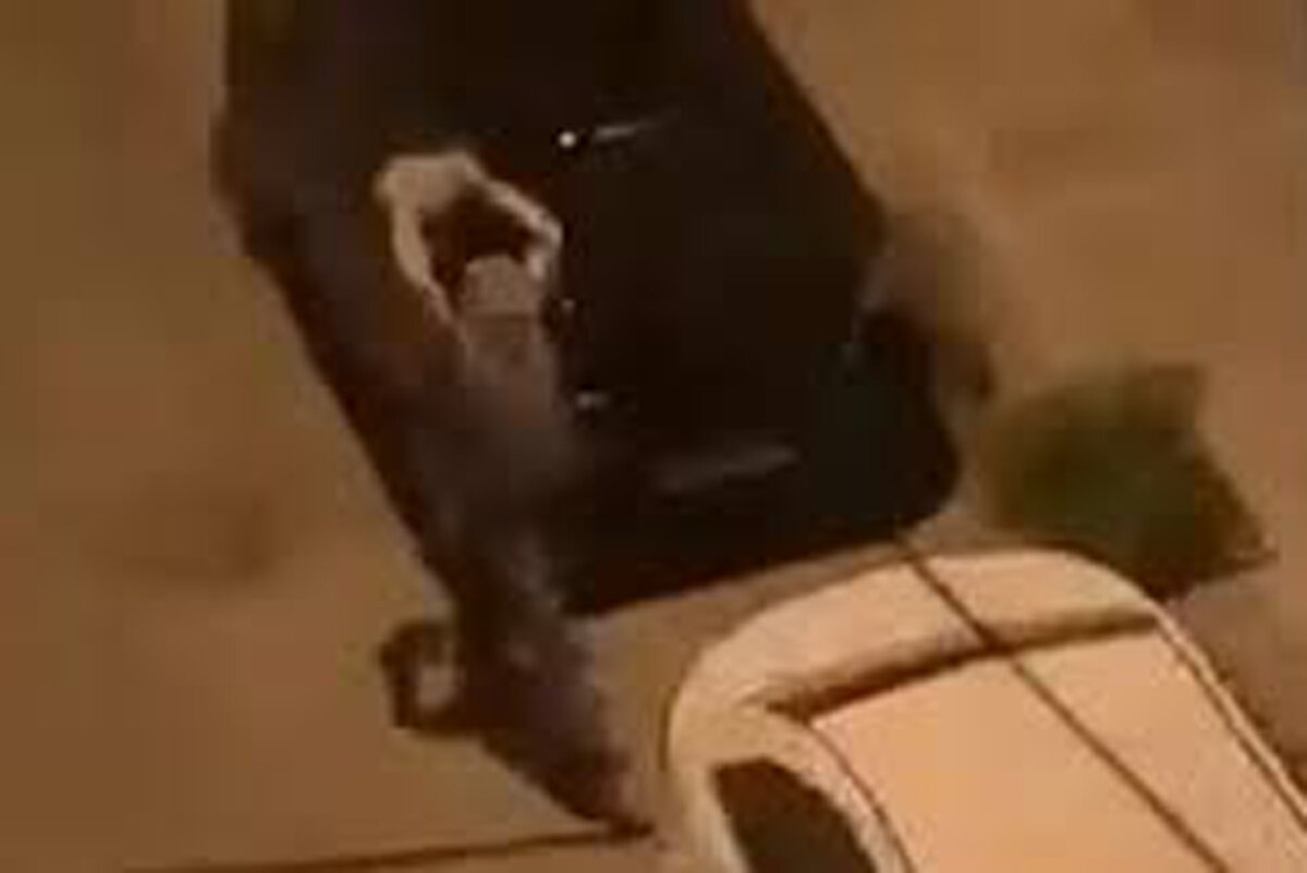 ببینید | حمله با سنگ به شیشه خودروهای سواری؛ عربده‌کشی مرد وسط کوچه!